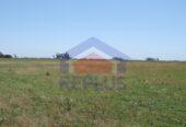 Campo 42 Héctáreas, Pehuajó, BA 6450