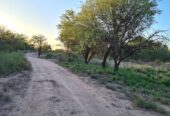CAMPO EN VENTA, QUIMILI, SANTIAGO DEL ESTERO, 25 ha.