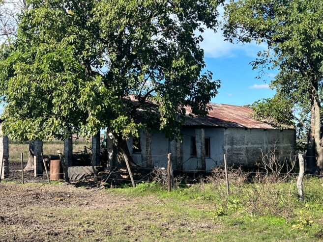 Se Venden 550 Has Mixtas Concordia. Entre Ríos