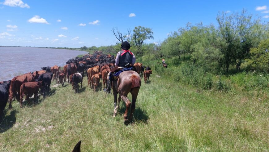 Vendo campo en isla entre rios