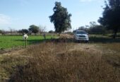 VENTA DE CAMPO*. Los Pereyra. Dpto. ROBLES . Superficie total:: *188hectareas