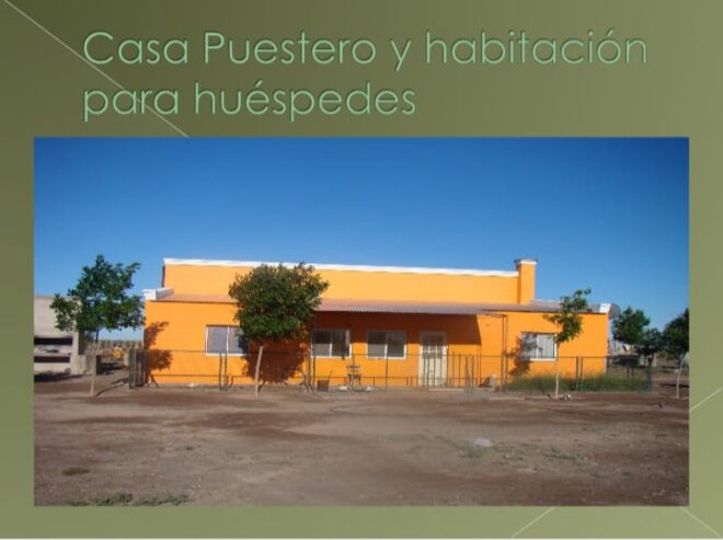 «OPORTUNIDAD» ESTANCIA LA PRIMERA EN LA PAMPA